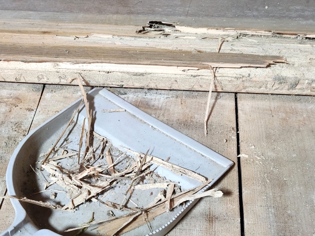 ウッドフェンス シロアリ