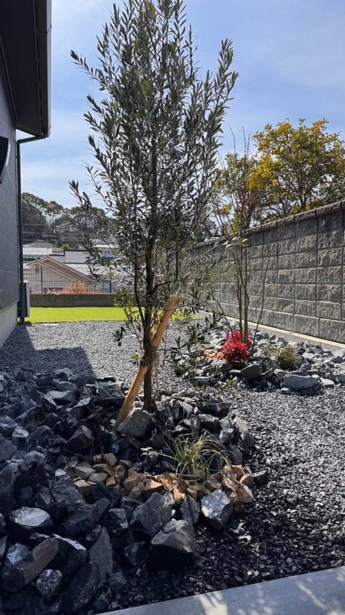 オシャレ外構　植栽