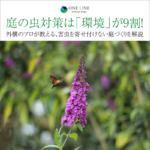 庭の虫対策は「環境」が9割！外構のプロが教える、害虫を寄せ付けない庭づくりを解説