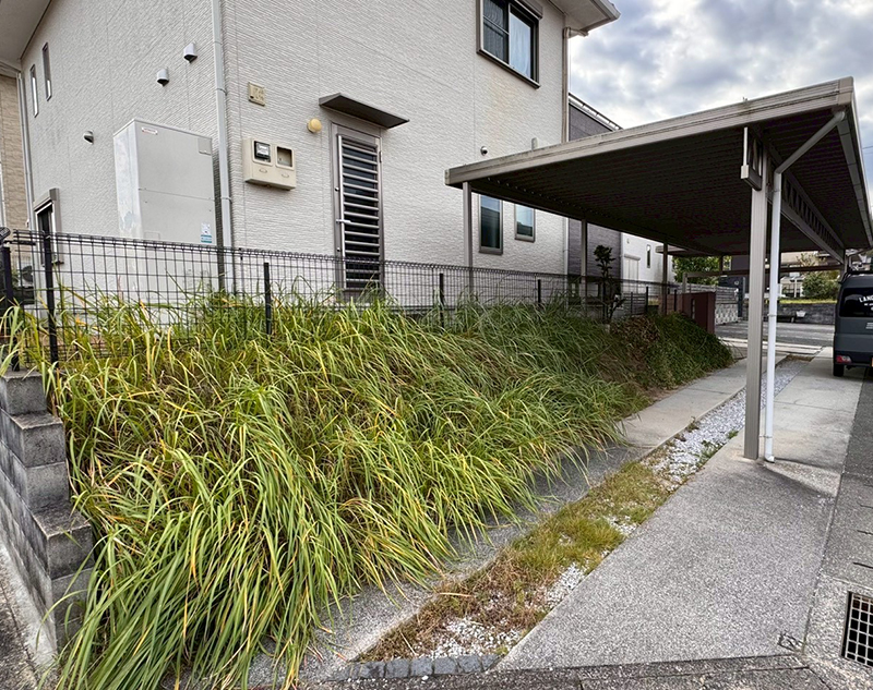 駐車スペースの雑草エリアをブロック塀＋フェンスに置き換え、ビフォー