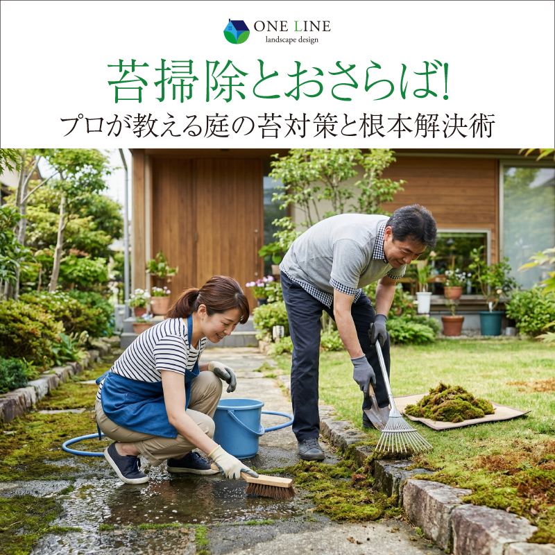 苔掃除とおさらば！プロが教える庭の苔対策と根本解決術
