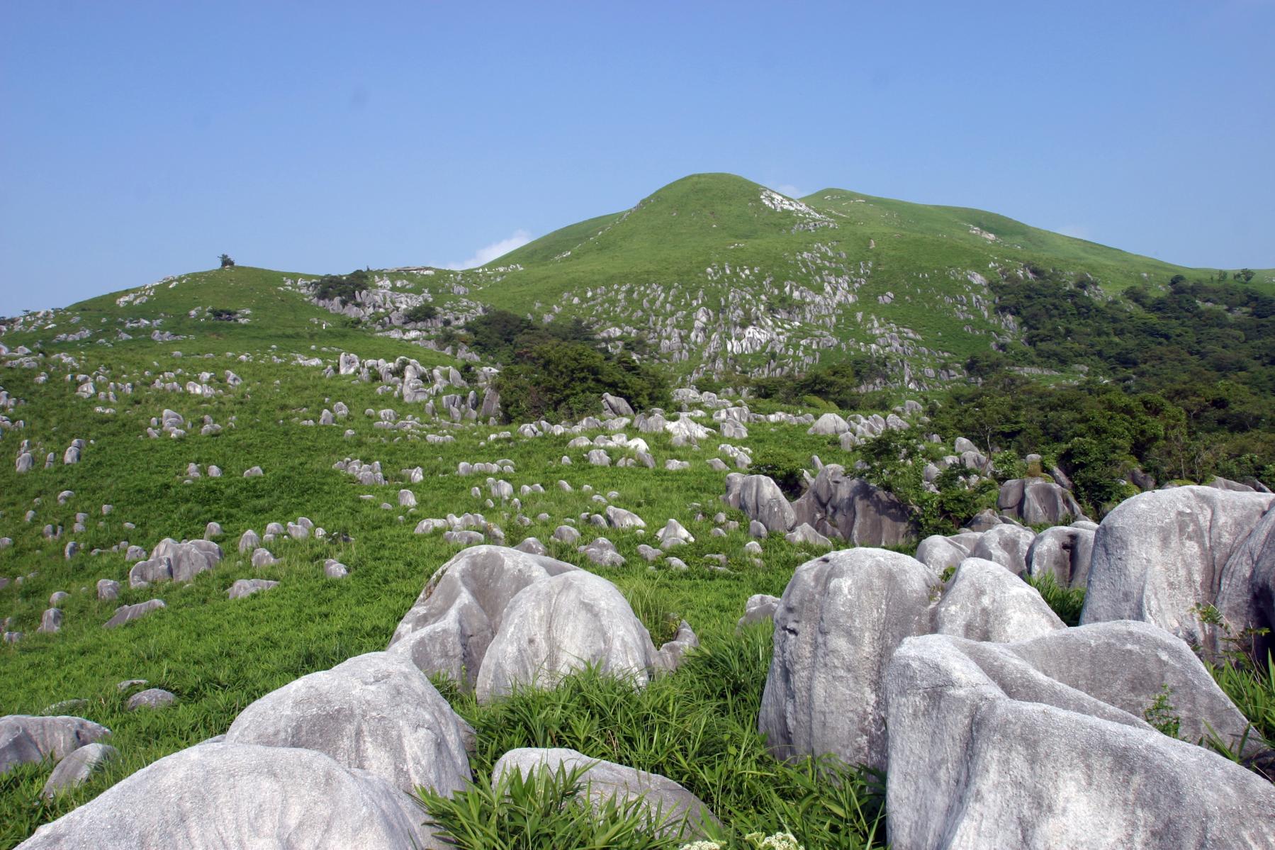 八幡西区・小倉南区(山沿い・平野部):強風・突風に耐える高耐久設計