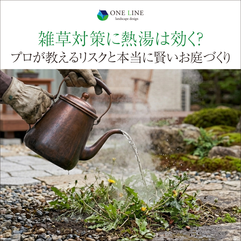 雑草対策に熱湯は効く？プロが教えるリスクと本当に賢いお庭づくり